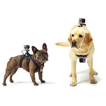 Dog Harness Adjustable Chest Strap Mount